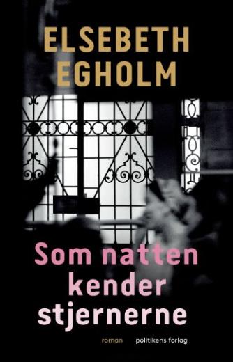 Elsebeth Egholm: Som natten kender stjernerne : roman
